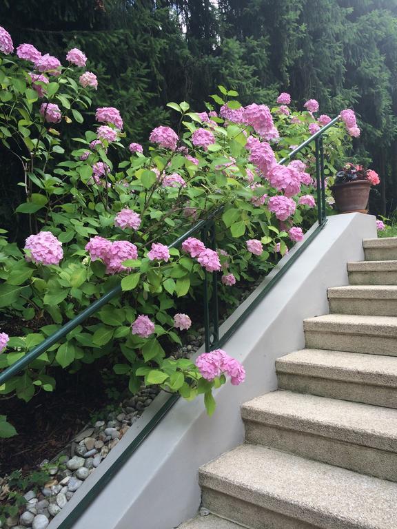 Exquisites Gartenapartment In Eleganter Jugendstilvilla Βιέννη Εξωτερικό φωτογραφία